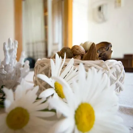 Traditional Near The Beach And City Center Hébergement de vacances