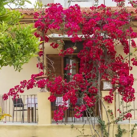 Traditional Near The Beach And City Center